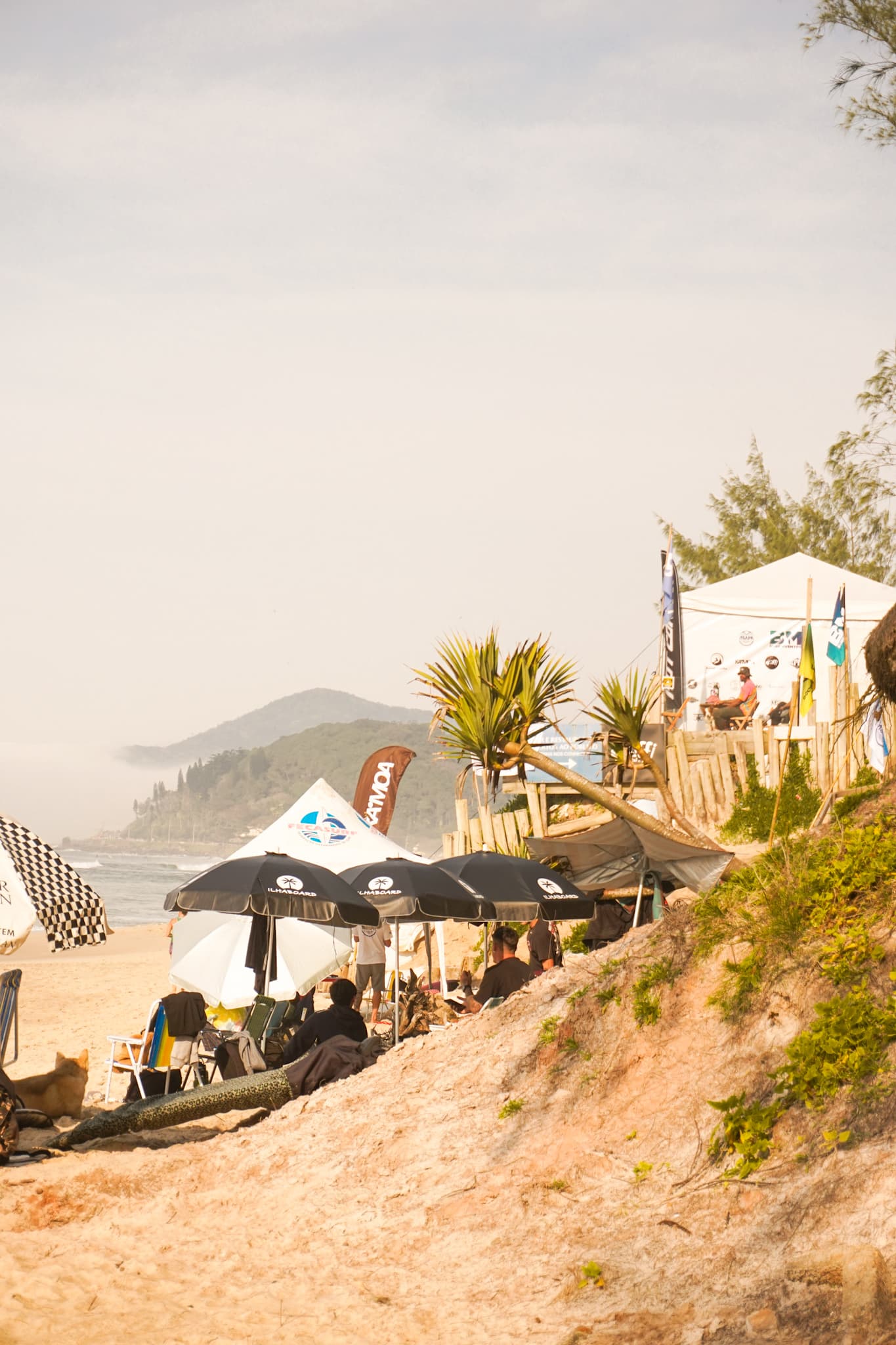 Pós Tainha de Surf 2024 - foto 8
