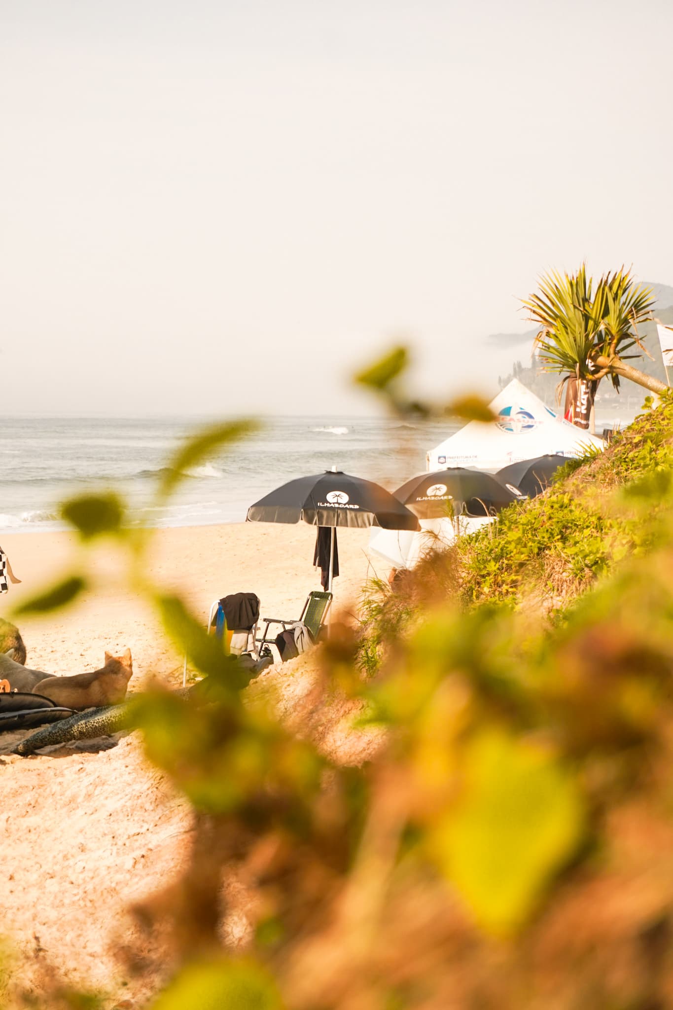 Pós Tainha de Surf 2024 - foto 9