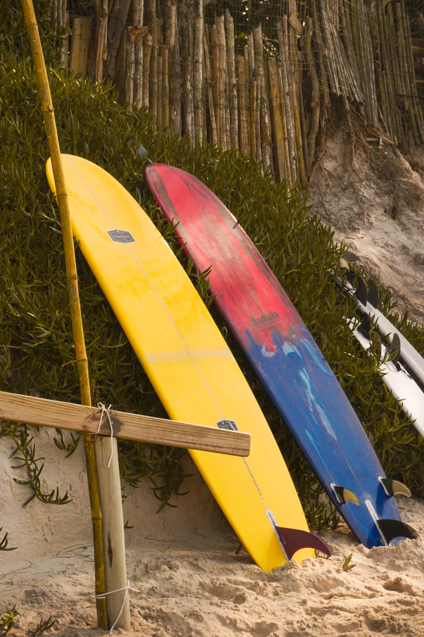 Pós Tainha de Surf 2024 - foto 12